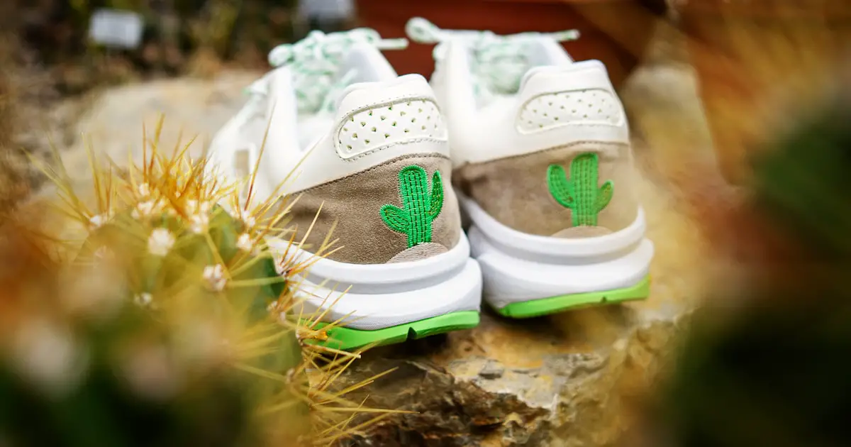15 Sustainable Sneaker Brands You Must Know in 2026 👟🌿 - Shoe Brands